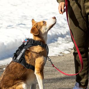 小型犬、中型犬、大型犬用の反射調整可能なソフトオックスフォード犬用ベストハーネス、5個のパッチ付きで簡単にコントロールできます。 - Product Image 4