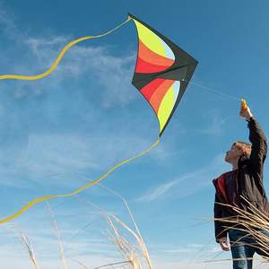 J640 Vente en gros Cerf-volant triangulaire de sport d'extérieur pour adultes et enfants, facile à piloter, ligne simple, activité <span class=keywords><strong>parent</strong></span>-enfant, jouet de parc, cerf-volant - Product Image 3