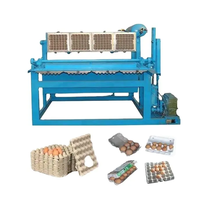 Machine automatique de fabrication de plateaux à œufs pour les ventes d'usine, machine de fabrication de plateaux à œufs pour la fabrication de boîtes à lunch et de plateaux à café
