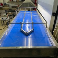 Convoyeur à bande en acier inoxydable 304 220v/380v pour la sélection des noix pour la machine de tri des raisins secs