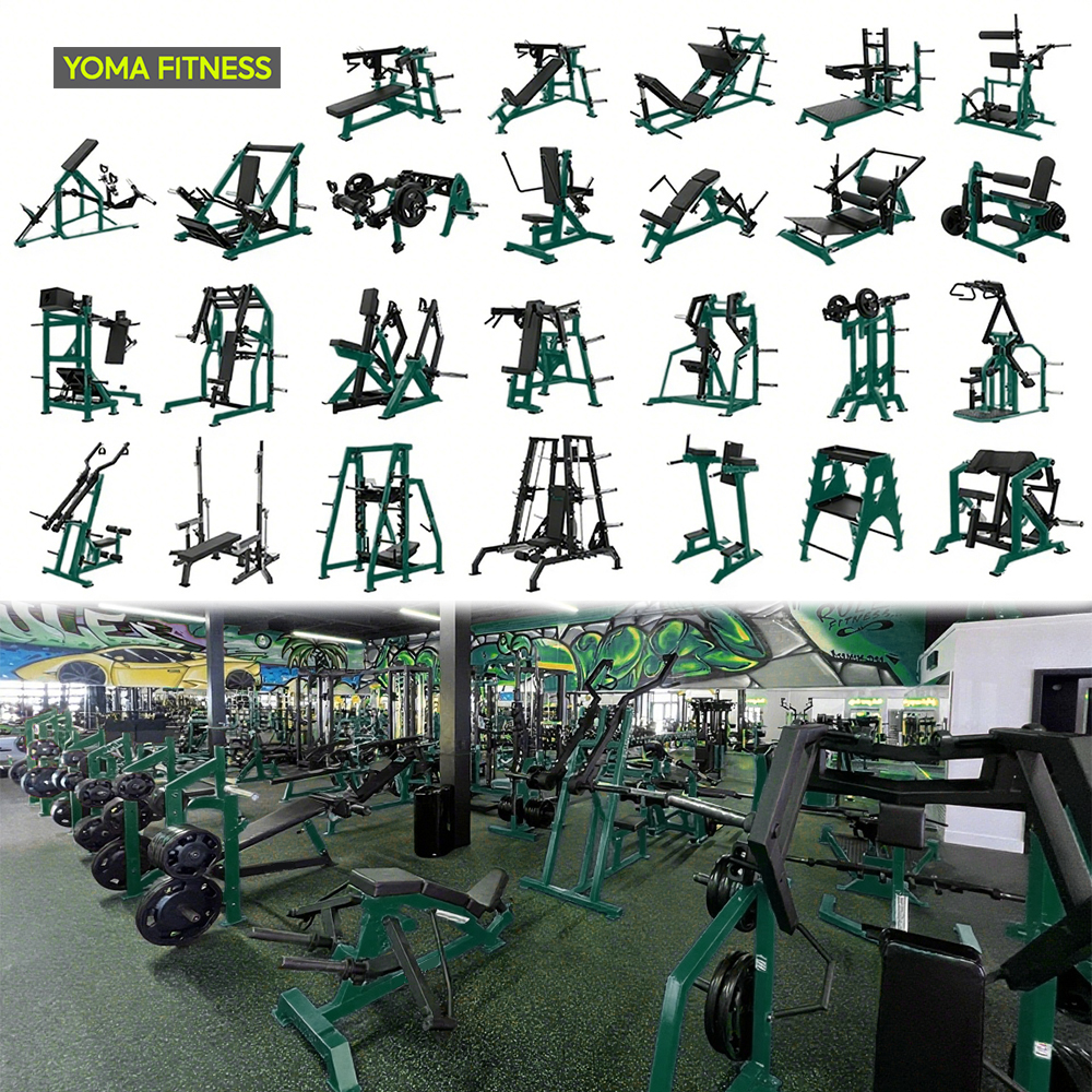 Shuhua Gym Premium Fitness Equipment for Home Sport