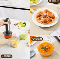 Mini robot culinaire, petit robot culinaire portable USB de 4 tasses, hachoir à ail, pour hacher et émincer