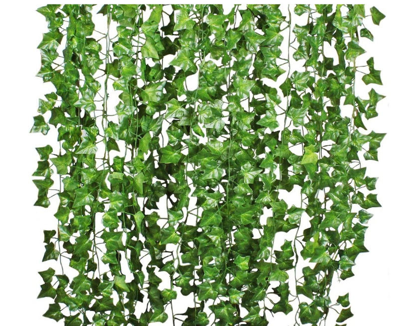 Sweet potato 72 leaves