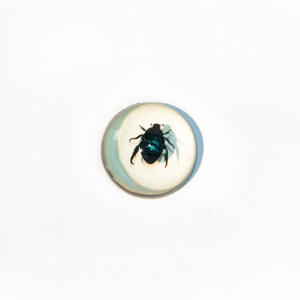 Benji Curated Résine Arthropode Affichage Hémisphérique Conservation de la Faune Moule Peint à la Main Réaliste Authentique Faune Motif Mur - Product Image 3