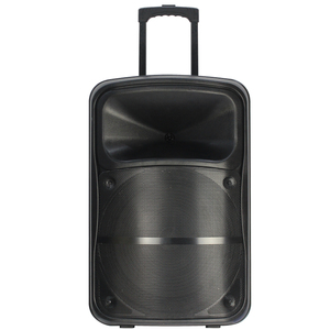 Bộ Khuếch Đại USB Không Dây Bt 15 Inch PA Active PRO Ngoài Trời Mạnh Mẽ Nhẹ DJ Loa Lớn Âm Thanh Mạnh Mẽ Cao Cấp - Product Image 3