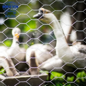 <span class=keywords><strong>Grillage</strong></span> hexagonal décoratif galvanisé par barrière de <span class=keywords><strong>grillage</strong></span> de poulet d'usine - Product Image 4