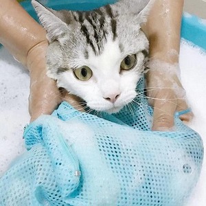 Breathable <strong>Cat</strong> Shower <strong>Bathing</strong> <strong>Bag</strong>, Adjustable Polyester Mesh Wash Sack, Anti-Scratch Restraint Carrier for Pet Nail Trimming - Product Image 6