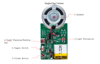 Módulo de Sonido USB Programable Personalizado para Grabar Voz y Música, con Chip Flash Integrado para Tarjetas de Felicitación y Regalos