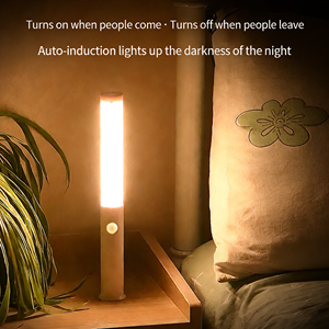 Luz con Sensor de Movimiento, Recargable, Magnética, Luz LED con 3 Temperaturas de Color, Encendido/Apagado Automático, Luz Nocturna para Sala de Estar, IP20 - Product Image 2