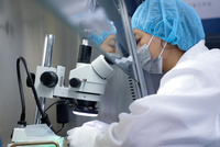 Professional and Independent Laboratory Testing and Inspection Services for Synthetic Fibre Products Inspections