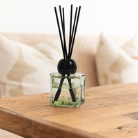 Bouteilles de diffuseur de roseau de parfum de bouteille en verre vide de luxe de 120ml avec des bâtons