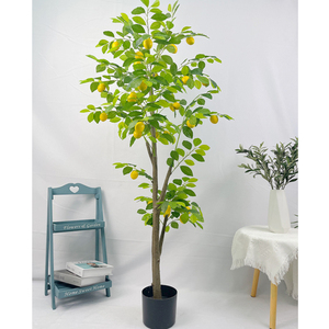 Árbol en Maceta Pequeño de Alta Calidad, Simulación de Bonsái, Árbol Frutal, Árbol de Limón Fax - Product Image 5