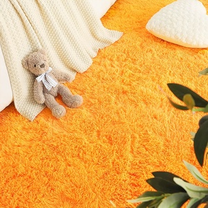 Khu Vực Rug Cho Phòng Khách Hiện Đại Plush Orange Mềm Kích Thước Lớn Fluffy Tùy Chỉnh Phòng Ngủ Tầng Area Rug Và Trang Chủ Trang Trí Thảm - Product Image 3