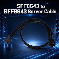 Cable Interno para Servidor SFF-8643 Mini SAS HD, Ancho de Banda de 48 Gbps, SAS 3.0, Tarjeta RAID para Disco Duro, Interconexión de Alta Velocidad