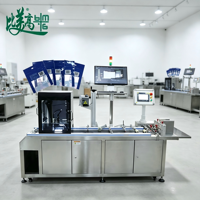 Machine de marquage laser UV automatique avec imprimante intégrée et générateur OCR pour le marquage laser des sacs alimentaires et la détection des défauts