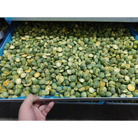 Machine de lyophilisation rotative à commande PLC automatique HRTY pour fruits et légumes