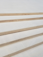 Contreplaqué de bouleau massif 4x8 pieds 12-18mm, qualité BB/BB, avec colle WBP, pour la fabrication de meubles et d'armoires – Vente directe usine