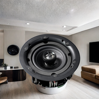 Haut-parleur de plafond coaxial métallique sans fil Thinuna GS-5L-BT double 2*60W 4 ohms 5,25 pouces avec amplificateur de classe D pour système de sonorisation