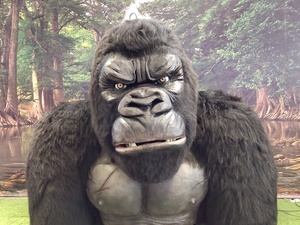 Công viên giải trí 3m siêu thực cuộc sống kích thước lớn animatronic Kingkong mô hình động vật - Product Image 6