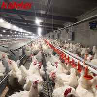 Équipement de ferme avicole automatique Système d'alimentation à chaîne pour poulets de chair, parents, poulailler, poulailler et maison d'éleveur