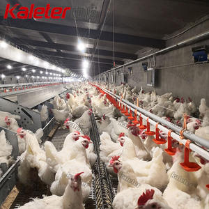 Broiler ebeveyn yetiştiriciliği için otomatik tavuk çiftlik ekipmanları kanatlı zincir besleyici sistemi Coop tavuklar ve damızlık ev besleme hattı - Product Image 3