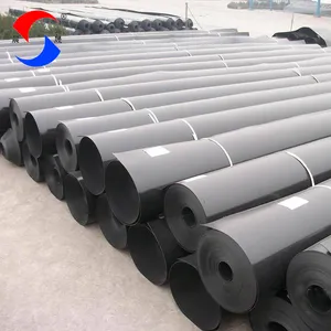 Hdpe pond linerฟิลิปปินส์ฟาร์มปลาบ่อซับhdpe geomembrane