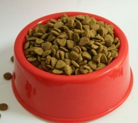 Ligne de production entièrement automatique d'aliments pour animaux de compagnie, extrudeuse électrique à deux vis en acier inoxydable pour aliments pour chiens et chats