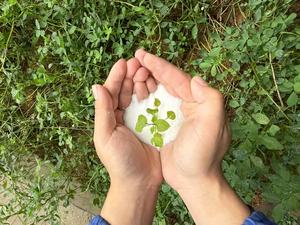 Đất Revitalizer cho cằn cỗi đất-Tăng cường nước muối đất hydrat hóa sản xuất tại Trung Quốc - Product Image 4