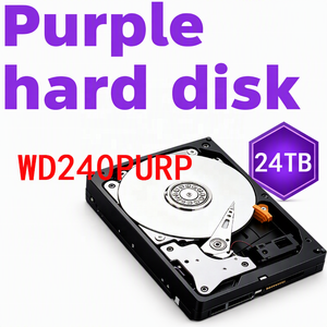 WD240PURP 24TB 3.5 Pollici SATA 6Gb/s 7200RPM 512MB Cache HDD per Monitoraggio Aziendale con Tecnologia AllFrame AI per 64 Telecamere HD - Product Image 1
