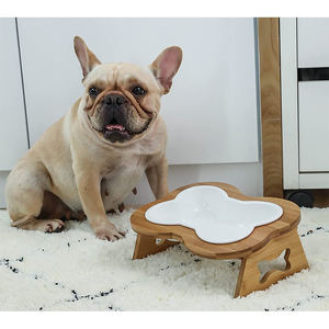 Mangkuk Anjing Keramik Tinggi dengan Dudukan Lucu Ditinggikan Miring Anti Muntah Piring Kucing Pribadi untuk Makanan dan Air - Product Image 6