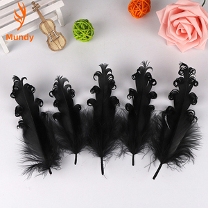Plumas Nagorie Rizadas de Colores Mezclados Hechas a Mano, Plumas de Ganso Satinadas para Manualidades y Diseño, Venta al Por Mayor de Fábrica a Precios Bajos - Product Image 2