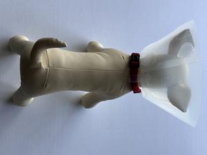 Collar de Recuperación para Mascotas de Plástico Resistente, Collar de Protección para Gatos y Perros, Estilo Clásico Simple para Comodidad y Protección - Product Image 4