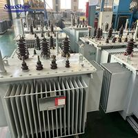 Özel Voltajlı S13-M 500kVA Üç Fazlı Tamamen Sızdırmaz Yağlı Tip Trafo Bakır Sargılı 10kV Endüstriyel Güç Trafosu