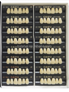 Vật liệu nha khoa nhựa tổng hợp răng hai lớp trên và dưới Trước Nhựa Acrylic răng - Product Image 6