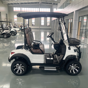 Golf Cart Elettrico a 2 Posti, UTV da Fattoria, Buggy Utilitario, Scooter per la Mobilità, <span class=keywords><strong>Auto</strong></span> per il Turismo, Certificato CE, 70 km/h, Per Adulti, Vendita all'Ingrosso - Product Image 3
