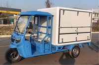 Tricycle cargo électrique à trois roues, fourgonnette fermée, moteur 2000W, trike de livraison à charge lourde pour la logistique et la livraison express
