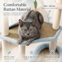 Arbre à chat compact multi-niveaux 5 étages pour appartement, tour d'activités pour chat peu encombrante avec griffoir en sisal, mobilier pour chat