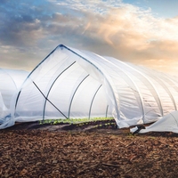 Film de serre agricole en PE anti-goutte, anti-buée, anti-poussière, certifié ISO 9001, fabriqué en Chine, épaisseur 200/250 microns, moulage par soufflage, protection UV