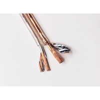 Cable de Audio para Altavoces de Cine en Casa y Radio, de PVC Blindado, Transparente, OFC, de Cobre Completo, de 2 Núcleos, 100 Metros por Rollo, Bajo Ruido