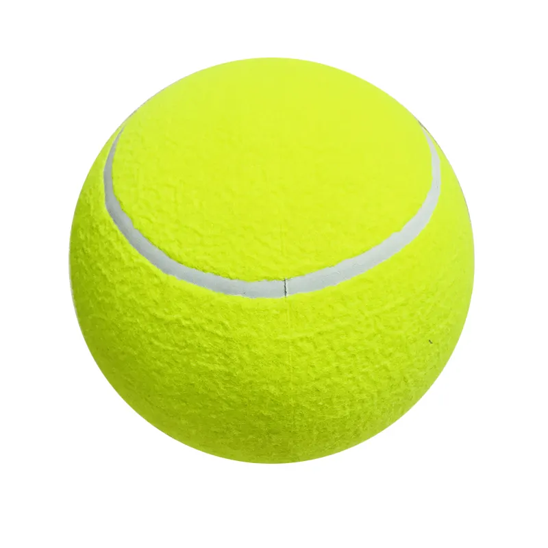 Özel Logo profesyonel raket ucuz toplu Pelotas De Tenis Padel kürek pet toysTennis topu