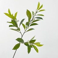 Neuheit Künstliche Fagraea Ceilanica Latex Afrikanische Jasminblätter Wohnzimmer Garten Dekoration Simuliertes Grün