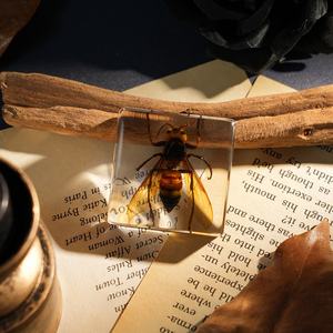 Artesanías de Resina Hechas a Mano, Especímenes de Insectos Encapsulados en Bloques de Resina, Pisapapeles con Forma de Avispa, Los Mejores Regalos para que los Niños Observen <span class=keywords><strong>la</strong></span> Naturaleza en <span class=keywords><strong>la</strong></span> Escuela - Product Image 1