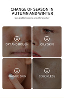 Masque facial anti-âge aux herbes avec vitamine E, miel, citron, aloe vera et grenade rouge, en feuille, pour tous types de peau, pour usage domestique