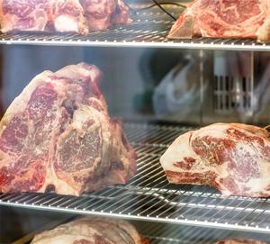 Petit réfrigérateur à viande <span class=keywords><strong>Umai</strong></span> pour table avec bloc de sel - Product Image 6