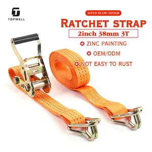 Bán Buôn Dây Đeo Nhà Sản Xuất Hàng Hóa Lashing Ratchet Tie Xuống Dây Đeo Thiên Nga Móc Cho Hàng Hóa Thân Cây