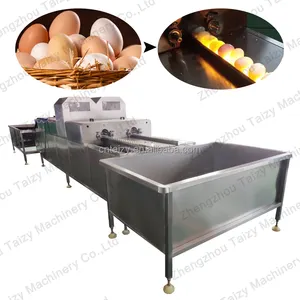 Hot Sale Eggs Washing Machine Egg Cleaning Machine Washer With High Quality