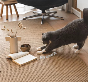 Tapis à gratter multifonctionnel pour <span class=keywords><strong>chat</strong></span> avec tissage de précision pour la <span class=keywords><strong>protection</strong></span> des meubles et le confort des animaux - Product Image 5