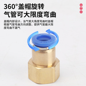 Pneumatic <b>Quick</b> <b>Connector</b> Brass Blue 4-01 6-01 8-01 10-01 12-01 Straight Through For Air Hoses - Product Image 4