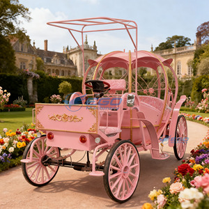 Carrosse de mariage électrique en fer forgé, en forme d'étoile et de citrouille, style Cendrillon, pour décor de scène de jardin - Product Image 5