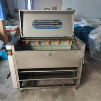 Automatische aardappel schilmachine, aardappelschiller, cassave schiller, fruit- en groentewasapparatuur